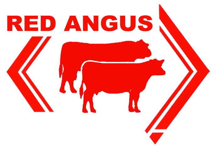 1. INTRODUCTION RED ANGUS SOCIETY OF AUSTRALIA INCORPORATED REGULATIONS These Regulations will take effect as of from 30 th May 2018 The Regulations may be amended from time to time by resolution