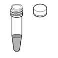25 x 0.25 cm 3 ( ) and transfer each piece into a labeled fliptop micro test tube. Close the lids. 4. Flick the microtubes 15 times to agitate the tissue in the sample buffer. 5.