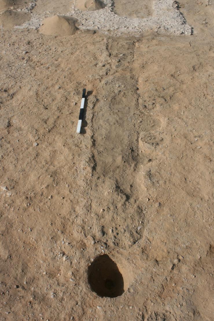 The mud-brick platform and associated features described above appear to be part of Pendlebury s First Period ; preliminary mud-brick structures which allowed the performance of cult practices at the