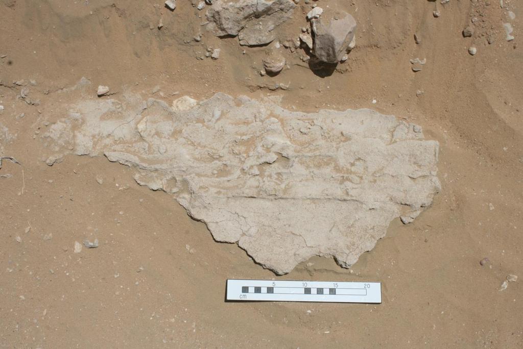 Figure 9: The Phase II stela site: the impression of part of a limestone block is preserved in the layer of mortar laid over the bed of gypsum concrete.