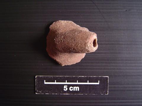 LERTCHARNRIT: ZOOMORPHIC SPOUTS FROM CENTRAL THAILAND Figure 2. A coarse-grained earthenware spout from Promtin Tai. Figure 3. Common Dvaravati spouts from Promtin Tai. Figure 4.