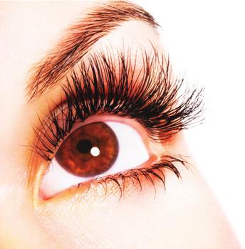 Brief History of Eyelash Enhancement Sometimes referred to as the windows of the soul, eyes were even a fascination with ancient Egyptians.