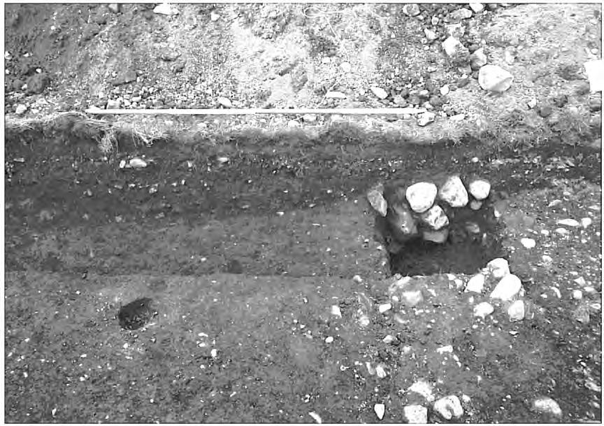 Plate 6: Trench C, Phase 2, probable beam slot