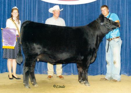 PERFORMAN WITH CLASS SPECIAL GENEC S 3 4 Selling Flush of Tylers Dusty Sara Plus 6004 to Bull of Buyers Choice Purebred Angus AAA#156729 Tattoo: 6004 BD: 9--06 Hendersons Famous Plus 0S1 Famous 7001
