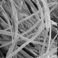 Cotton fibers are the plant fibers most commonly used in textile materials The animal fiber most