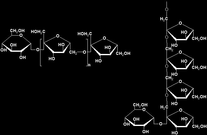 What is Levan? Levan is a naturally occurring bio-polymer a polyfructose. Levan molecules are formed from sucrose by an enzymatic process.