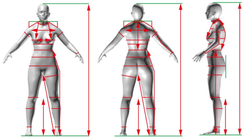 Total body height, weight, head girth and waist height while sitting, were taken manually.