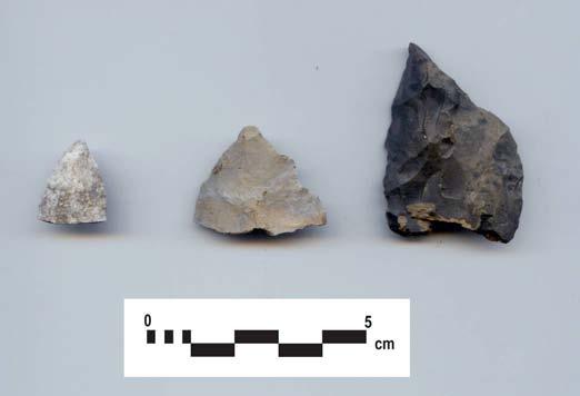 Page 59 manufactured from Onondaga chert and one projectile point fragment manufactured from Lockport chert (Table 104, Plate 26).