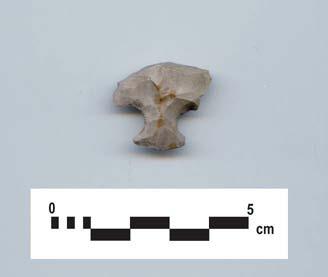 Page 79 AgHb-185 P146 Findspot P146 was encountered on a relatively flat ploughed surface. The find consists of one primary thinning flake possibly manufactured from Fossil Hill chert (Table 146).