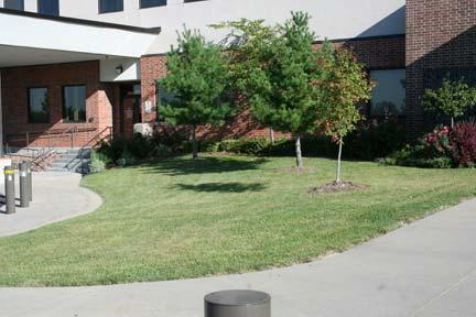 This turf area is located at the front of the hospital between the main and surgery