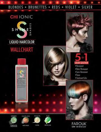 CHI COLOR PREPACKS CHI IONIC SHINE SHADES PREPACK INCLUDED IN KIT: 3 oz CHI Ionic Shine Shades Liquid Color (65 Shades) with 6 FREE CHI Silk Infusion 12 oz and color whisk CHK7565 NATURAL 1-CHISS1N: