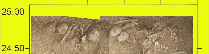Fig. 5: Uppermost layer of burials in Trench W 1.05 In another newly excavated area (Trench S1) a number of primary burials were encountered in different stages of preservation (Fig. 7).