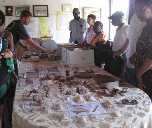 Kaye et al.: Bowls and Burials 99 Fig 15: Display of special finds at Museum Open Day. Photo by Quetta Kaye. in the Carriacou Museum and provided new laminated information labels for exhibits.