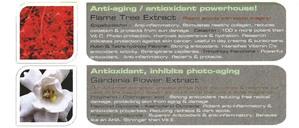 the new extracts & minerals The beautybalms do not only incorporate AA2G but key organic extracts and minerals.
