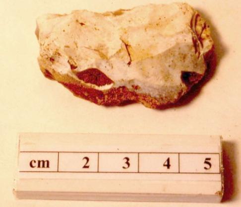indicating an early camp site. Flint Scrapers. The thumb scraper (left) and the poorer quality flint tool (right) were found within our first trench.