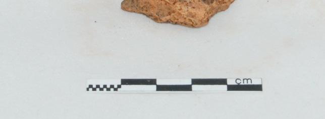Other sherds were from a coarse salmon pink coloured ware and some were made with a finer texture.