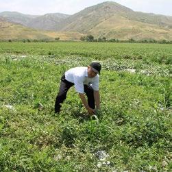 It has operations in three of the four regions of Tajikistan, namely Sughd, Dushanbe area and Khatlon. The microfinance sector in Tajikistan is competitive.