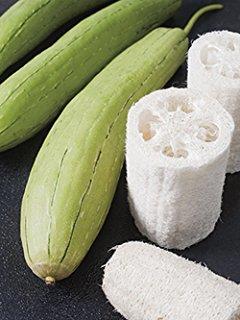 Natural Loofahs (Luffa) is an excellent way