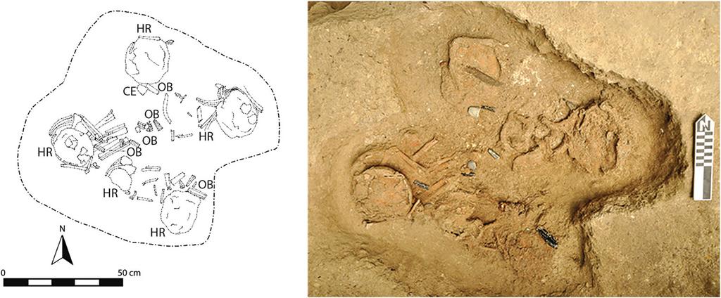 JOURNAL OF FIELD ARCHAEOLOGY 413 Figure 5. Burial 153, deposited on the east west axis of the E-Group plaza at Ceibal during the Real 3 phase or Escoba 1 phase (Photograph by Flory Pinzón).