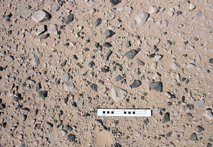 Figure 15. One of the scatters of basalt flakes on the sirface of the site, this one on the plateau south-west of the Main Site.