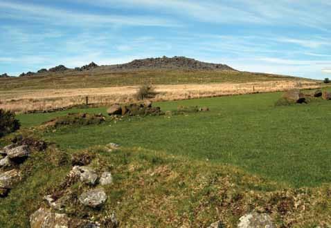Since Herbert Thomas s identification of the Preseli Hills as the source of the majority of bluestones in the early 1920s, it has been obvious that understanding the stones of Stonehenge means