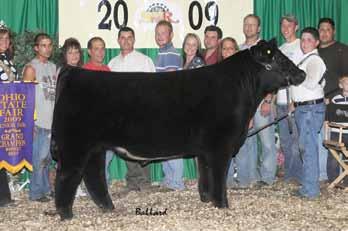Club Calves Lots 30-35 consigned by Keller Club Calves This is Keller Club Calves first year to