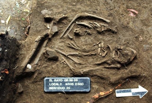 At Locus 2, three burials were found relating to the Bagaces occupation levels. One was a fetus found among domestic refuse; notable was faint evidence of cut marks on the diaphysis.