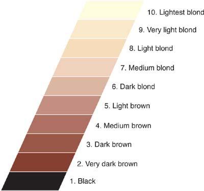 THE LEVEL SYSTEM Level is the unit of measurement used to identify the lightness or darkness of a color; also referred to value or depth.