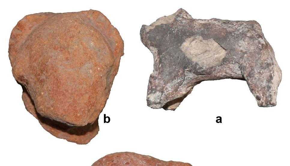 ISSN 2347 5463Heritage: Journal of Multidisciplinary Studies in Archaeology 5: 2017 Apart from these, there are six human fragments found, among them one is a lower half part of human figurine made