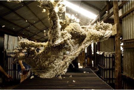 for growth in private consumption Wool textile industry stocks now under control?