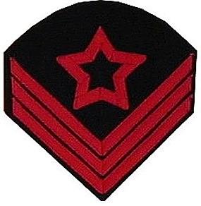 US Service Stripes - One stripe (hash mark) indicates five years of service. Add $3.