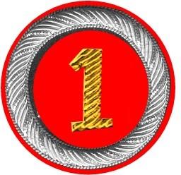 Officers of the General Staff- Must be CUSTOM ORDERED due to rank and Embroidered Branch designation insignia. Regimental Numbers are Not Used on General Staff Epaulets. Colonel $249.