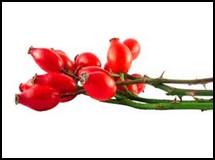 Rosehip, Baobab, Inca and Biotin Spray onto towel dried or dry hair before styling or