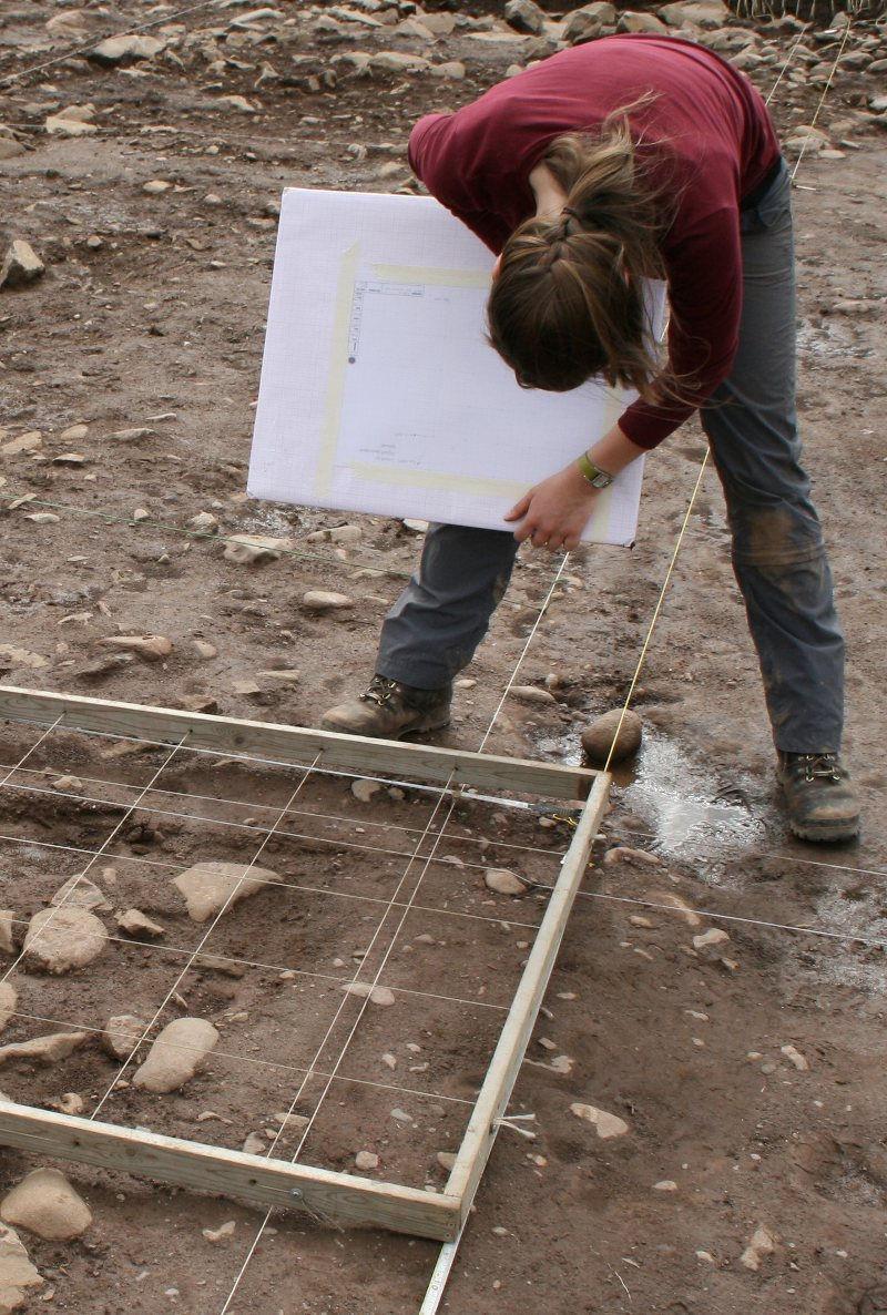Forteviot, Perthshire 2008: Excavations of a henge monument and timber