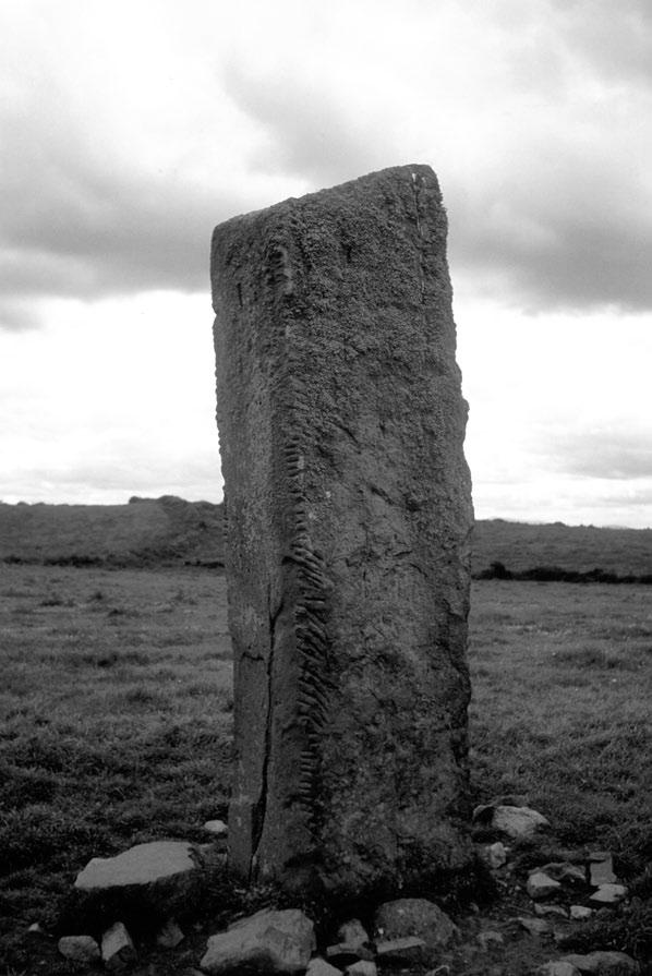 Figure 1 Ogham stone There are about four hundred stones carved with Ogham script a series of lines and notches mostly in Old Irish, concentrated in south-eastern Ireland.
