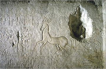 king as he rides past Photo: The Amarna Project Figure 17: Entrance to tomb number 25, The God s Father, Ay Figure 16: The