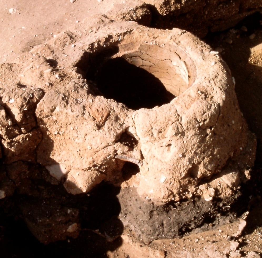These ovens, with their thick walls, well-fired interior lining and often with accumulated ash and charcoal remains, should be easily detectable during excavation.