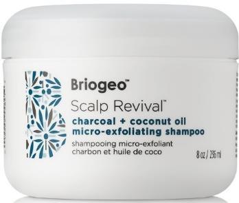 Purifying Dry Shampoo Briogeo Scalp