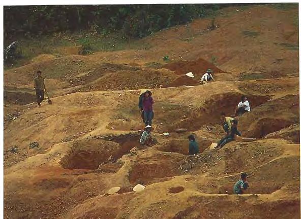 Although at least six foreign ventures have been involved in gem processing, most have not been successful, according to one recent report ("What the Government Won't Tell You," 1994).
