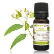lemon eucalyptus Eucalyptus citriodora sb citronellal soothing and repairing