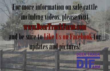 8 and IMF 2.32. Bred AI Nov. 19, 2017, to KCF Bennett Homeward C776, then pasture exposed from Dec. 1, 2017, to DTF Windstar Z80 6D40. Consigned by Deer Track Farm, Spotsylvania, Va.