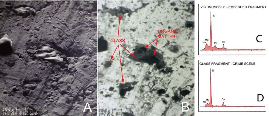 Scanning electron microscopy and energy dispersive X-ray spectra of bullet surfaces. A: The surface of the scrape zone of the fatal bullet, secondary image.