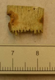 connecting plate fragment.