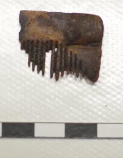 - Tooth plate: - Rivets: - Decoration: - Type: - Description: Unknown comb fragment.