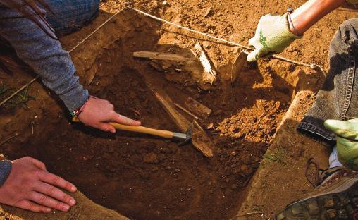 All budding archaeologists will have the opportunity to get their hands dirty while having fun learning about the