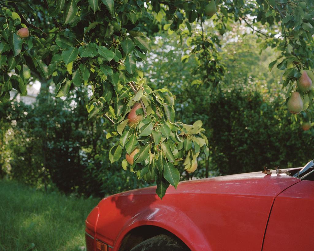 Pao Houa Her Pears and Red Car 2009 Archival Pigment Prints Courtesy of the artist Pao Houa Her s (Hmong-American, b. 1982) work navigates the duality of her Hmong-American identity.