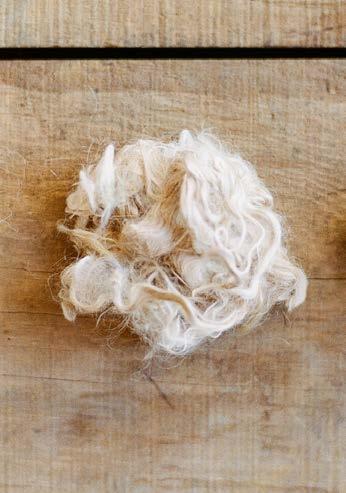 Fibers, from left to right: alpaca, hemp and sheep s wool. PBS show Food Forward, produced by Greg Correll. A new show called American Fiber is now in the works.
