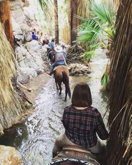 PAST EVENTS: TRAIL RIDE THROUGH INDIAN CANYONS: Participants joined horses and wranglers from Smoke Tree Stables for a special