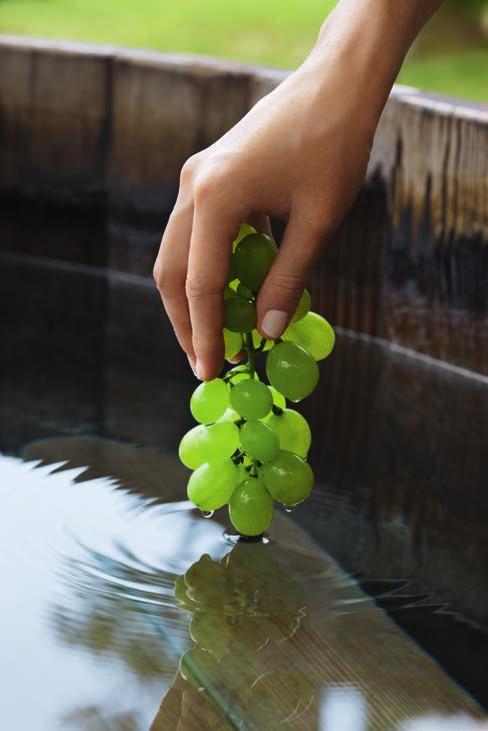 Caudalie rituals Discover the Spa in half a day or a full day To allow you to discover or rediscover our magnificent Vinothérapie Spas and experience an unforgettable moment in a setting of rare