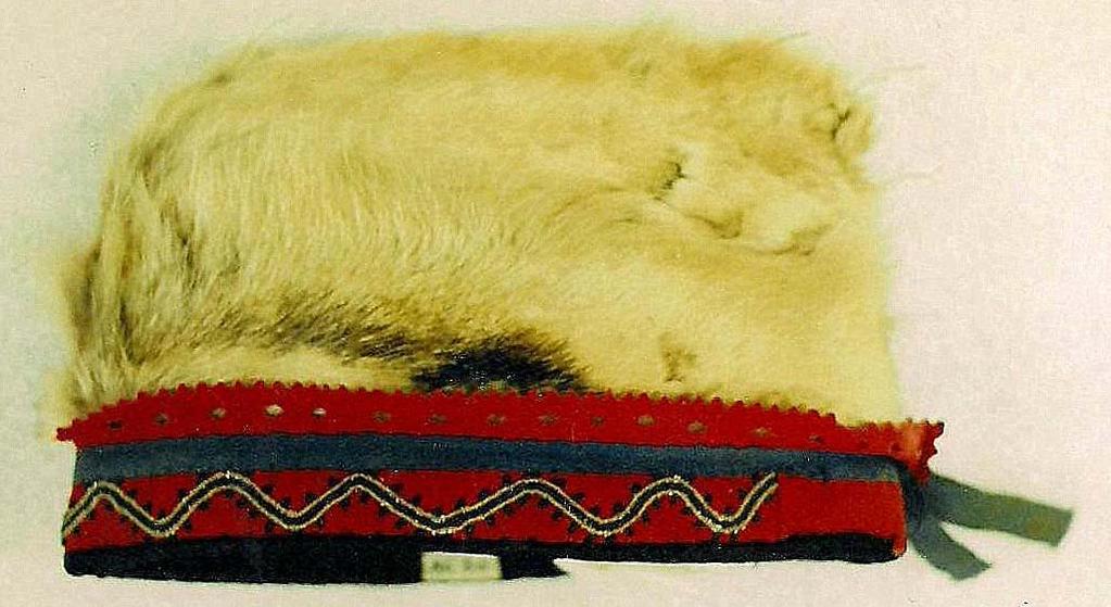 Another wedge style hat is a Tahltan hat from the Glenbow Museum (figure # 389). This hat was purchased from Mr. William Helmer in 1965.